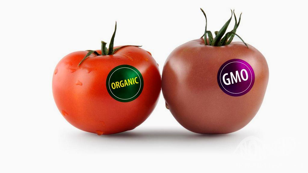 GDO’lu Ürünler ve Organik Ürünler