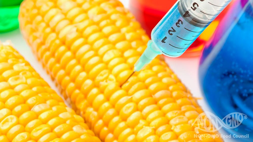 GMO FREE (NON GMO) Ürünler Nelerdir?