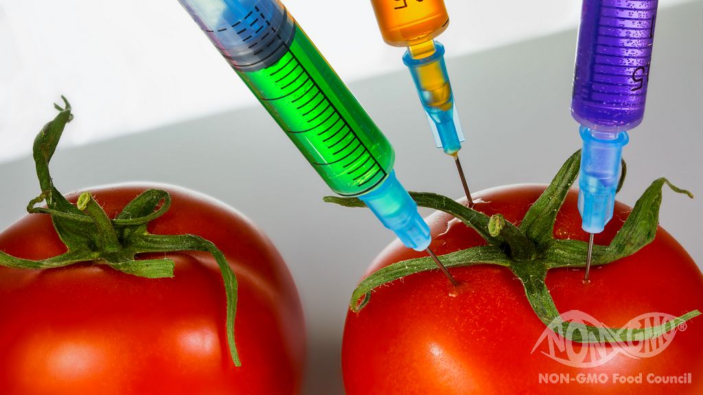 GMO FREE Ne Anlama Geliyor?