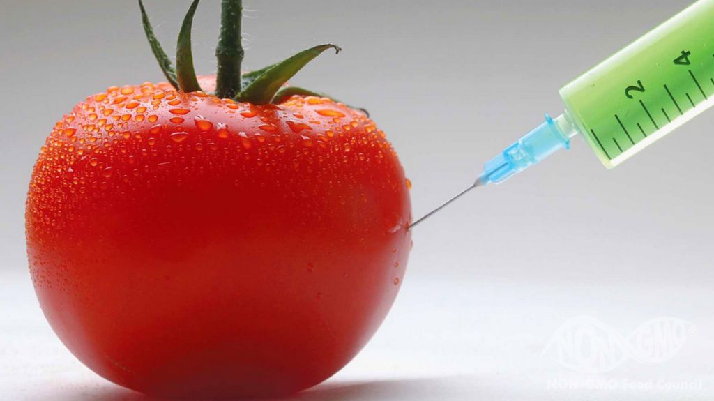 GMO Riskleri Nelerdir?