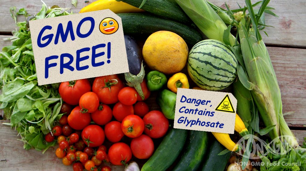 NON GMO Nedir?